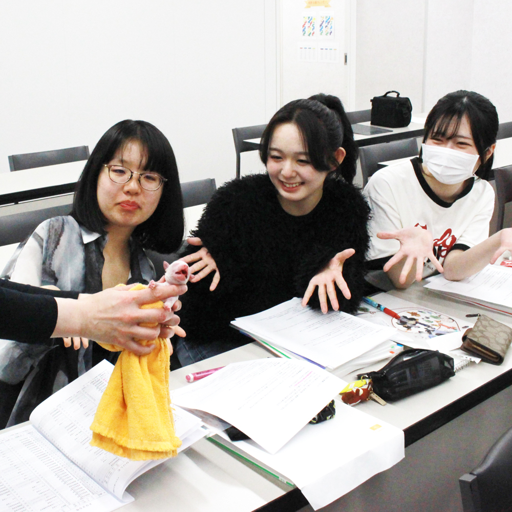 新入生、入学式の翌日に子犬が産まれました！